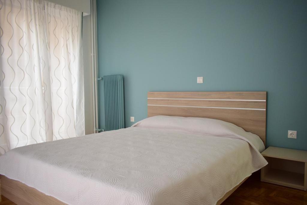 Beautiful Renovated Flat In Athens Apartment Екстериор снимка